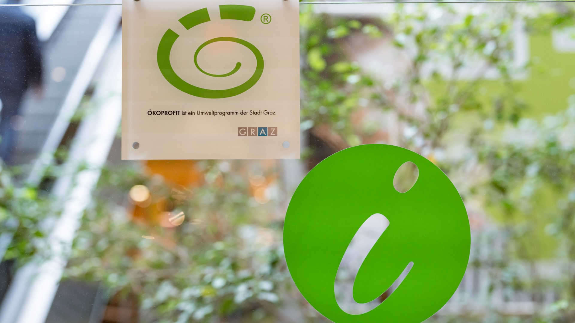 Hauptbild-Logo